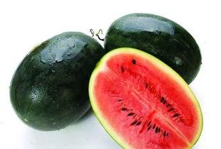 51黑瓜吃料网访问密码,独家访问密码解锁精彩内容