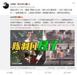吃瓜爆料往期合集视频,回顾往期合集，揭秘娱乐圈幕后真相