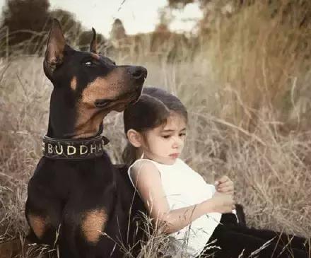 香香公主和爱犬黑料吃瓜,娱乐圈的甜蜜与争议