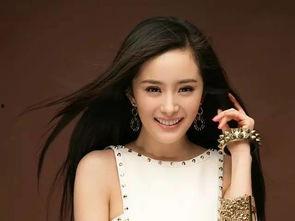 有人喜欢明星网红吗,揭秘粉丝对明星网红的狂热追捧