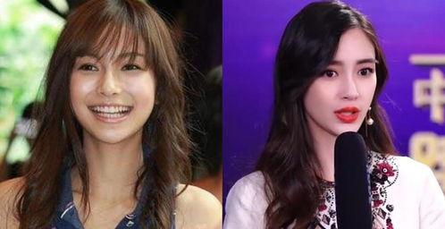 有人喜欢明星网红吗,揭秘粉丝对明星网红的狂热追捧