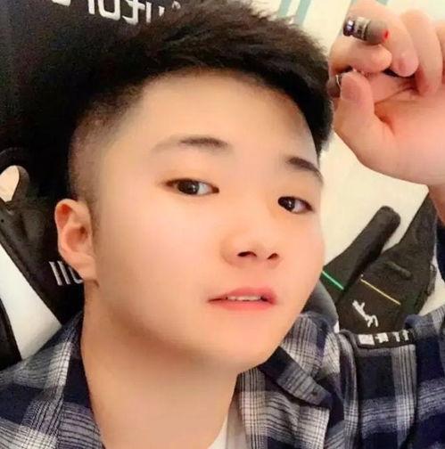 明星网红哪个最有钱,揭秘谁是最富有的网络红人