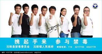 明星网红唱歌素材下载,精彩歌声下载回顾