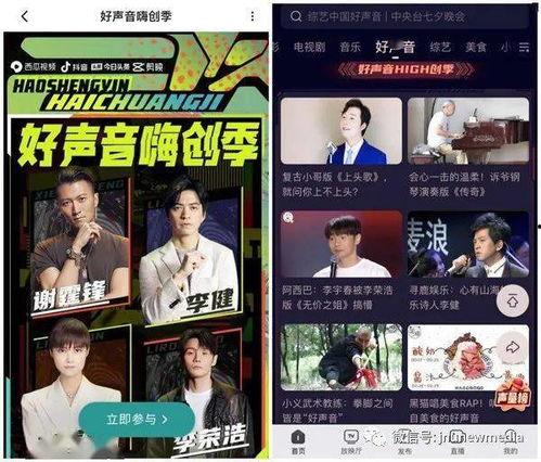 中国好声音吃瓜爆料视频,揭秘吃瓜爆料视频背后的真相