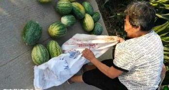 椒江吃瓜最新事件爆料,揭秘背后惊人真相！