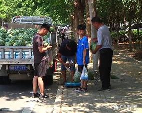 息县吃瓜群众爆料最新视频,吃瓜群众视频揭秘惊人真相