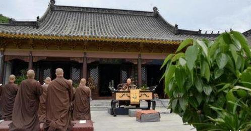 吃瓜寺寺娱乐圈