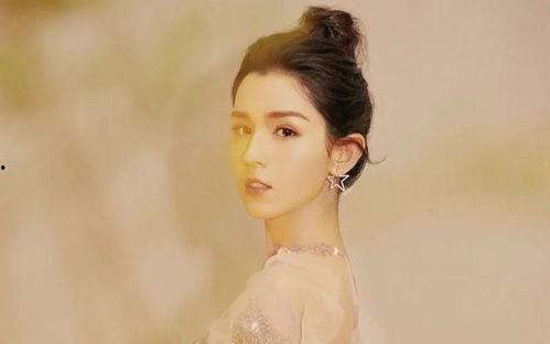 明星网红新疆是谁