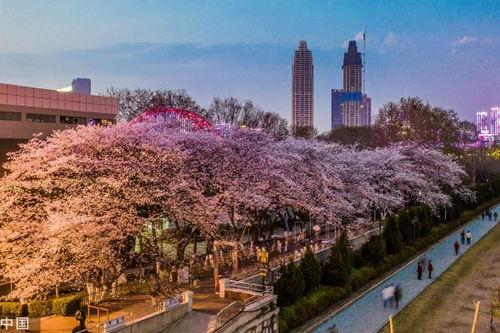 网红黑料吃瓜爆料合集,网红黑料大揭秘，吃瓜爆料合集来袭！