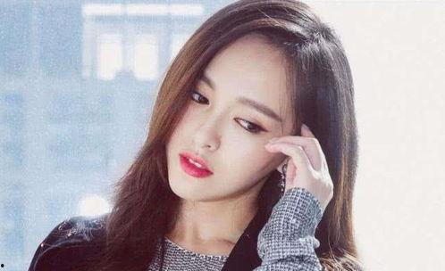 明星网红还有什么行业,明星网红效应下的新兴行业崛起解析