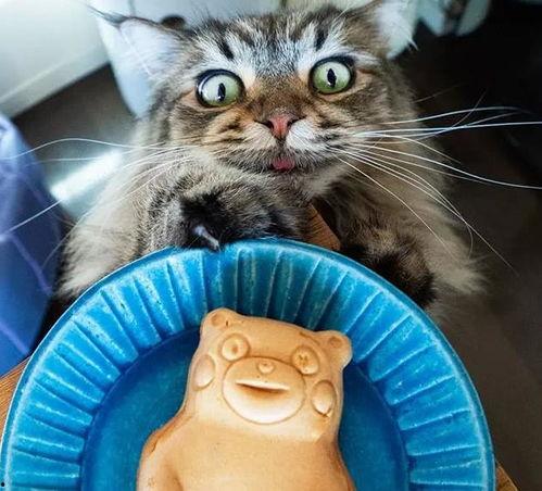 51喵小吉黑料吃瓜,娱乐圈背后的惊人真相