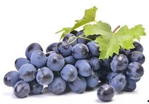 51cg8吃瓜爆料,揭秘娱乐圈最新吃瓜事件