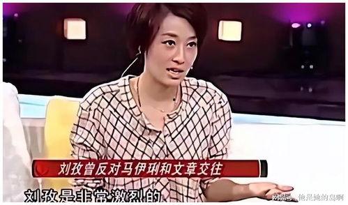 命运的齿轮明星网红,明星网红闪耀时代舞台