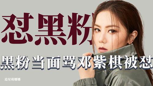 明星网红怼黑粉,网络正能量对决