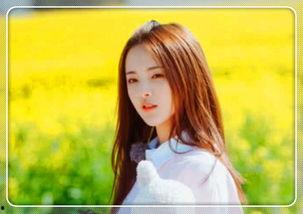 明星网红套路视频大全,揭秘热门短视频背后的秘密